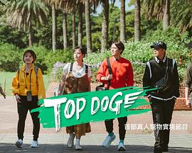51视频《TOP DOG》免费在线观看