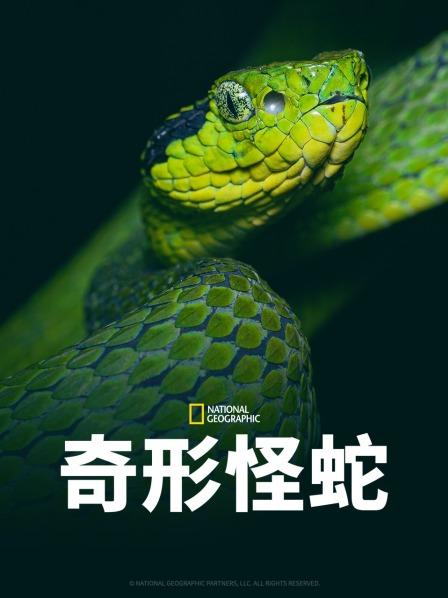 51重口猎奇《奇形怪蛇》免费在线观看